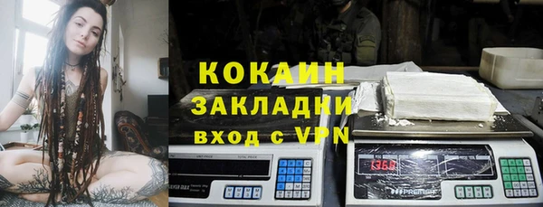 хмурый Магас