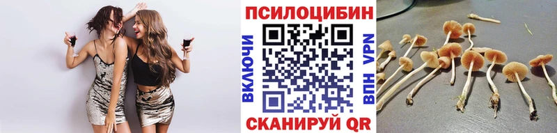 Псилоцибиновые грибы мицелий  Нариманов 
